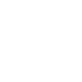 Digital Experience Circle Animation